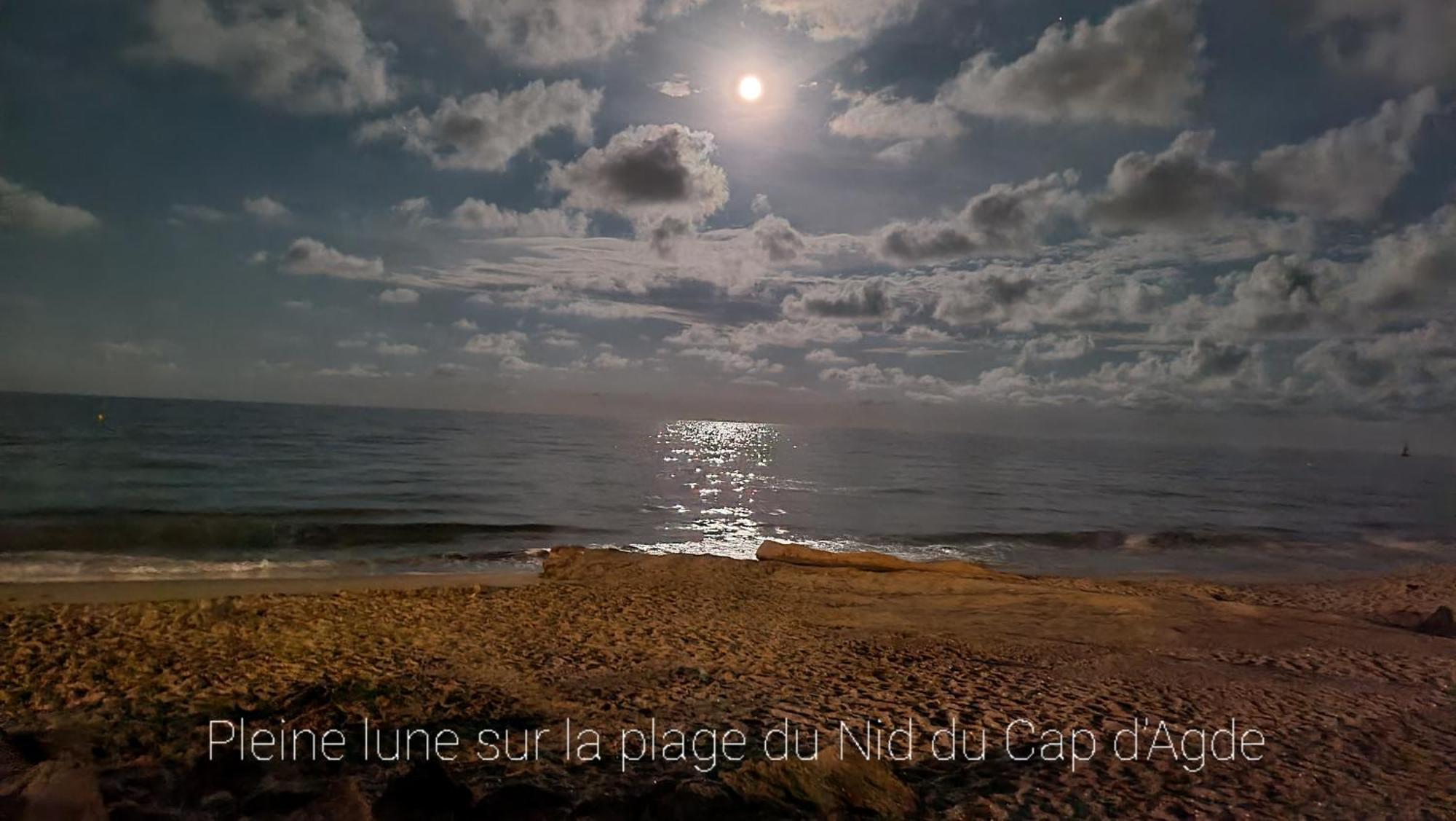 Residence De Standing La Pecherie Spacieux T3 Comme Un Cocon Familial Vue Mer Et Sur L'Avant Port Sur Le Bout Du Bout De Cap D'Agde Seule Cap En Occitanie Kültér fotó